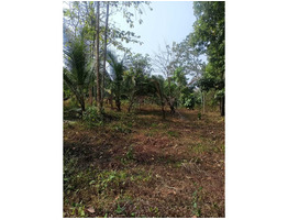 1 Acres Land For Sale