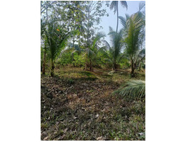 1 Acres Land For Sale