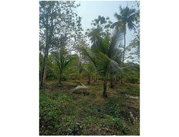 1 Acres Land For Sale