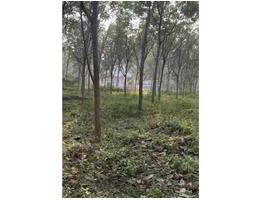 1.82 Acers Land For Sale at koothattukulam idayar piravom Road