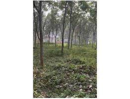 1.82 Acers Land For Sale at koothattukulam idayar piravom Road