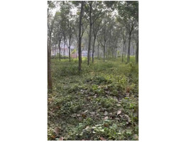 1.82 Acers Land For Sale at koothattukulam idayar piravom Road