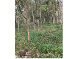 1.82 Acers Land For Sale at koothattukulam idayar piravom Road