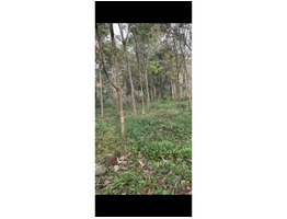 1.82 Acers Land For Sale at koothattukulam idayar piravom Road