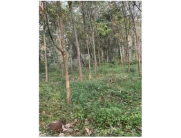 1.82 Acers Land For Sale at koothattukulam idayar piravom Road