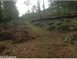 1.07 Acers Land For Sale near by St Paul's Csi Church, Kottayam