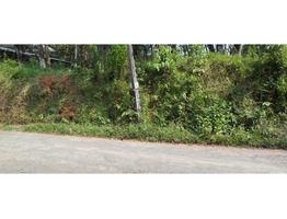 55 cent land For Sale near by keerikuzhi vayanashala