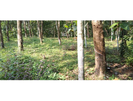 55 cent land For Sale near by keerikuzhi vayanashala