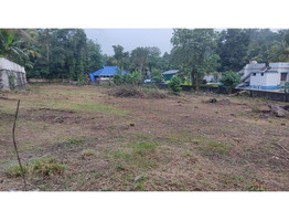 58 Cent Land For Sale near by Chenganoor Mc Road