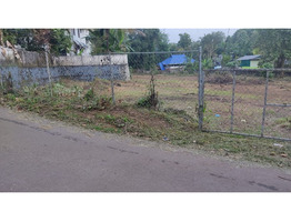 58 Cent Land For Sale near by Chenganoor Mc Road