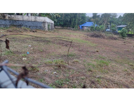 58 Cent Land For Sale near by Chenganoor Mc Road