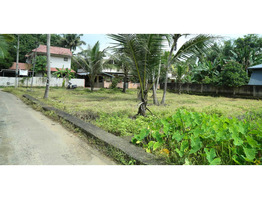 14 Cent Square House Plot Sale Near by Kalady Police Station