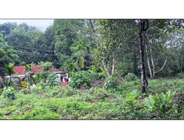 91 cents land for sale near by Ettumanoor Old MC Road Side