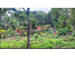 91 cents land for sale near by Ettumanoor Old MC Road Side