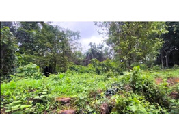 91 cents land for sale near by Ettumanoor Old MC Road Side