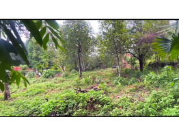 91 cents land for sale near by Ettumanoor Old MC Road Side