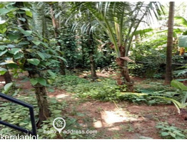 Residential House Villa for Sale Kanimangalam, Nemmara, Palakkad