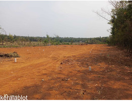 1.43 Acres Land For Sale