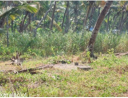 Waterfront Land for sale Near Vembanad Lake in Udayamperoor, Ernakulam