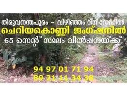 65 Cent Land For Sale at Cheriyakonni