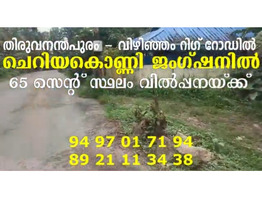 65 Cent Land For Sale at Cheriyakonni