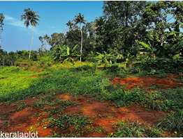 70 Cents Land For Sale at Adoor Town