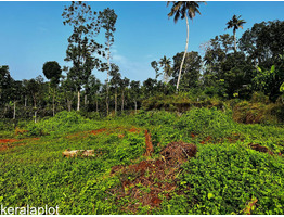 70 Cents Land For Sale at Adoor Town