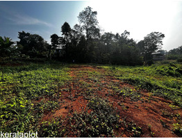 70 Cents Land For Sale at Adoor Town