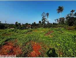 70 Cents Land For Sale at Adoor Town