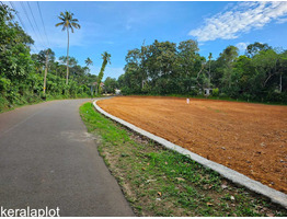 74 cent land for sale Near by Karukachal Toelwn