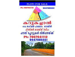 74 cent land for sale Near by Karukachal Town