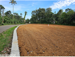 74 cent land for sale Near by Karukachal Town