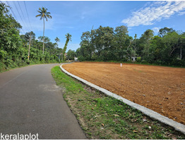 74 cent land for sale Near by Karukachal Town