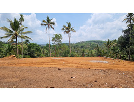 72 Cent Land For Sale