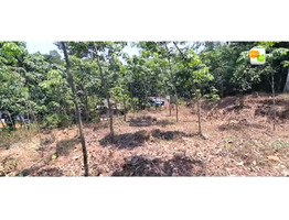 31 Cent Land for sale