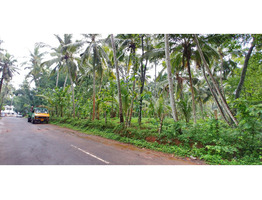 53 Cent Land For sale For Sale