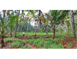 53 Cent Land For sale For Sale