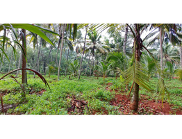 53 Cent Land For sale For Sale