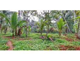 53 Cent Land For sale For Sale