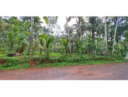 53 Cent Land For sale For Sale