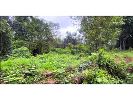 91 cent Land For sale Ettumanoor, Old Mc Road Side