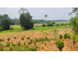 2.5 Acer land with 2500 Sqft House For Sale