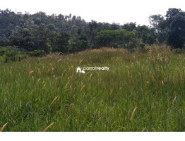 50 cent plot for sale in Andoor near Ambalavayal…