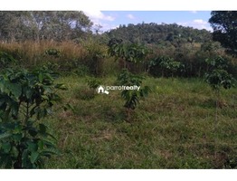 50 cent plot for sale in Andoor near Ambalavayal…