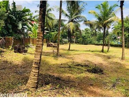 60 cent Commercial Land For Rent in Chelambra