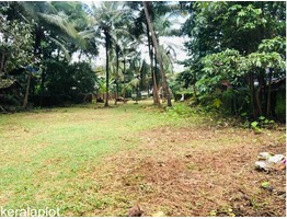 60 cent Commercial Land For Rent in Chelambra