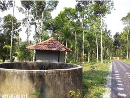 Residential Plots for sale in Kenichira, Wayanad