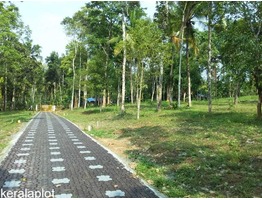 Residential Plots for sale in Kenichira, Wayanad