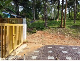 Residential Plots for sale in Kenichira, Wayanad