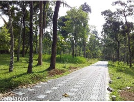 Residential Plots for sale in Kenichira, Wayanad